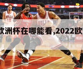 2024欧洲杯在哪能看,2022欧洲杯在哪看