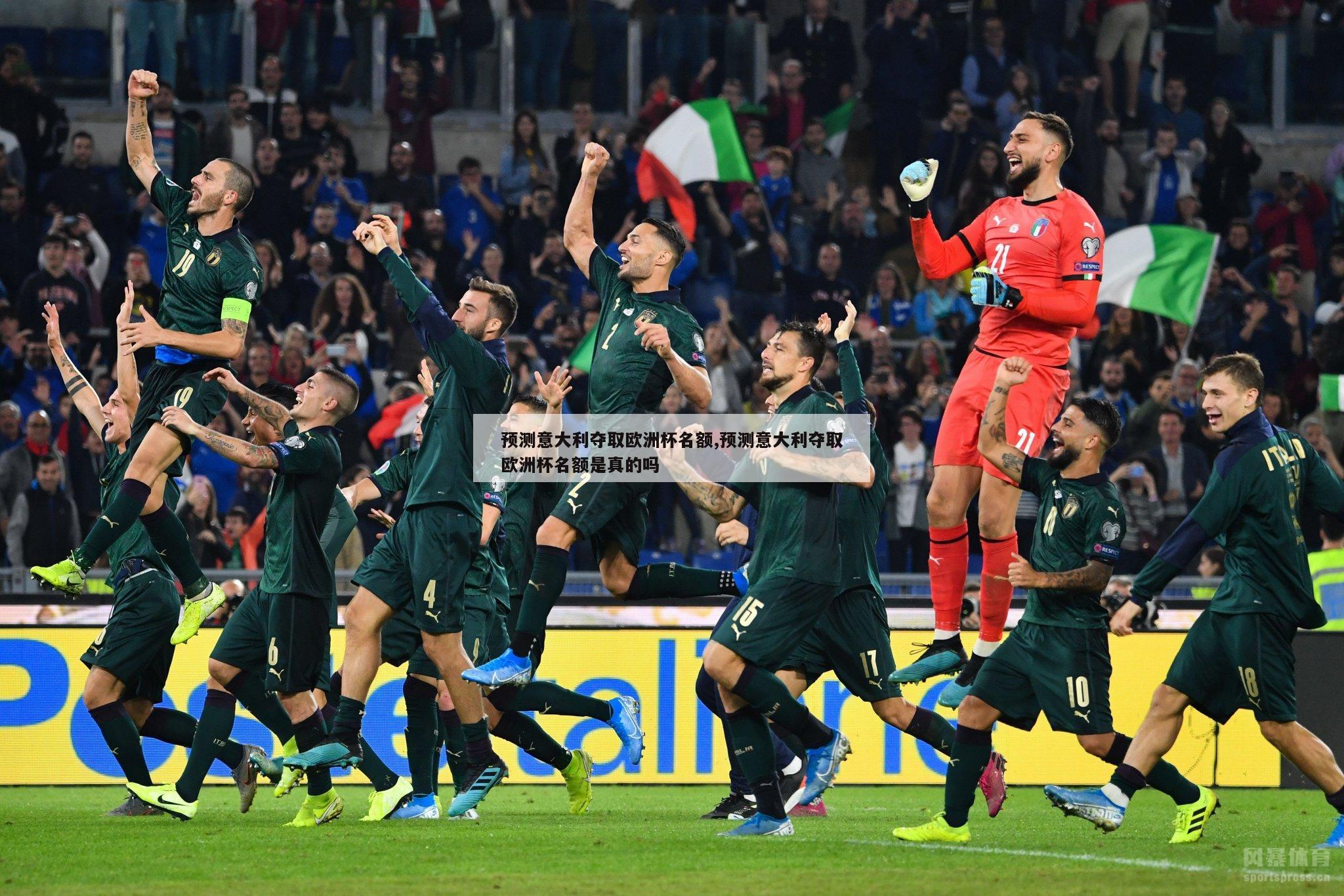 预测意大利夺取欧洲杯名额,预测意大利夺取欧洲杯名额是真的吗
