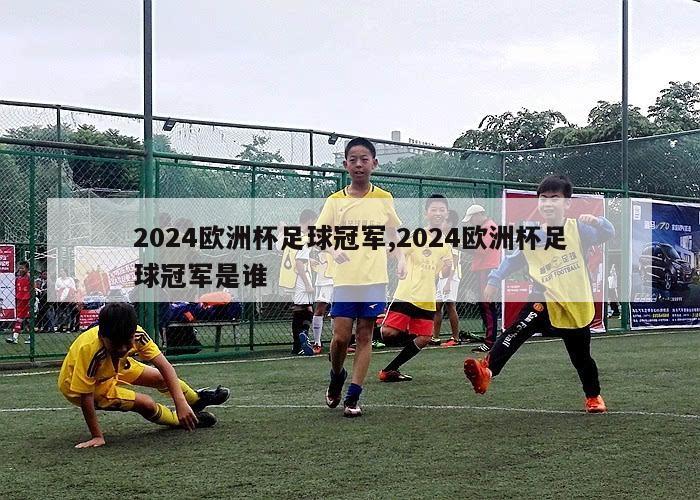 2024欧洲杯足球冠军,2024欧洲杯足球冠军是谁