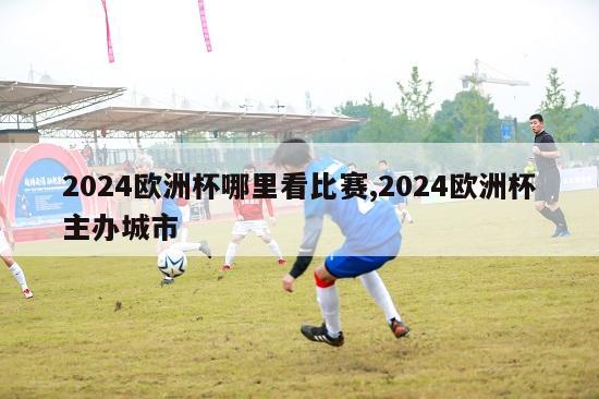 2024欧洲杯哪里看比赛,2024欧洲杯主办城市