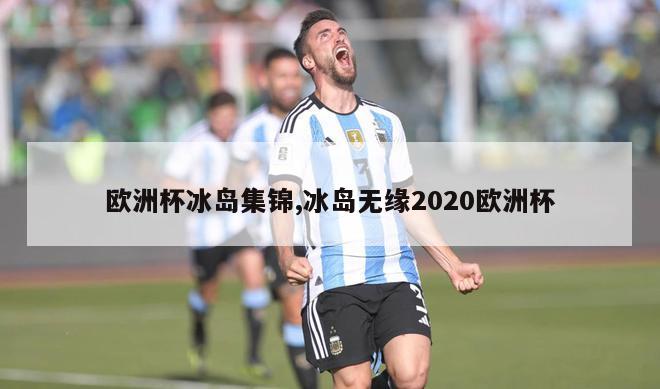 欧洲杯冰岛集锦,冰岛无缘2020欧洲杯