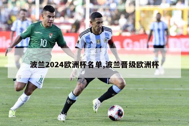 波兰2024欧洲杯名单,波兰晋级欧洲杯