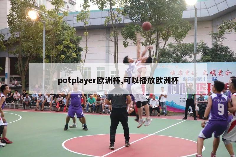 potplayer欧洲杯,可以播放欧洲杯