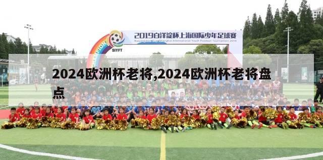 2024欧洲杯老将,2024欧洲杯老将盘点